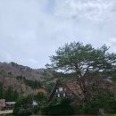 고령휴게소식당 | 나고야 근교투어 - 시라카와고 전망대 구경과 푸딩 &amp; 커피 / 휴게소 카페빵 존맛임 ( 4월 나고야)