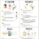 경희하늘애한의원 이미지