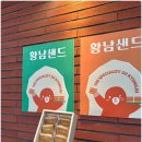 샌드베어 이미지