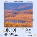 여명목장2 | 겨울 비에이 언덕 렌터카 눈과 단풍 사진명소 여행
