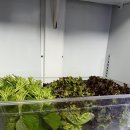 제이럭셔리 이미지