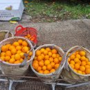 영후농장 이미지