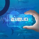 디자인팜 이미지