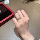 W7. 반지에 반지를 더해💍+💍가드링 계약 후기(메종드미,알리앙스젬)