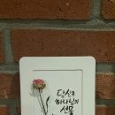 플라워와 기초캘리 이미지