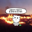 신안 유치원 | 신규상담교사의 7월 이야기(방학 전까지!)