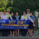 과천초등학교 정문 앞 이미지