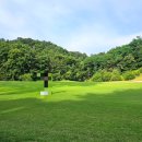 충청도골프장 골프존카운티 화랑CC 라운딩 후기!(+근처 맛집)