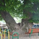 현동면사무소 이미지