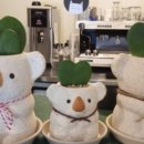 늘봄까페 이미지