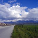 엘에이농장 이미지