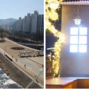 DK동물병원 이미지