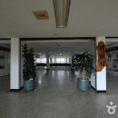 전주대학교박물관 티스토리