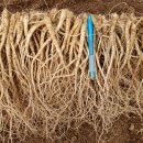 으뜸농장 2 이미지