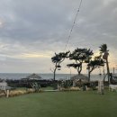 제주237농업회사법인