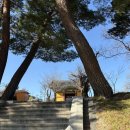 낙산사 | 강원도 양양 낙산사 방문 후기! 홍련암 일출 명소 주차 관광지 양양 가볼 만한 곳 애견동반