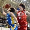 고려대강호체육관 이미지