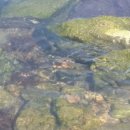 서면시장 이미지