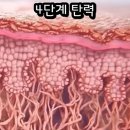 타비 | 세비타비겔 모공줄이는법 성공? 내돈내산 후기 (가격, 사용법, 꿀팁)