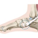 더올바른정형외과의원 이미지