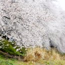 김유신장군로 이미지