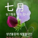 행복한하루