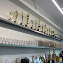 금오산낙협동물병원 | 구미남자눈썹문신 확실한 이미지 변화