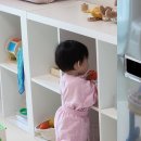 [러브에브리] 1. 구독 장난감 선택 이유/플레이키트/몬테소리