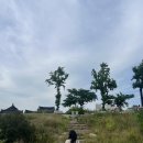 교촌길(동) 네이버블로그