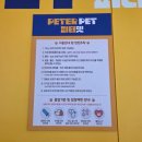 피터펫 미사점 이미지