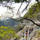 원주시티투어(순환형) 이미지