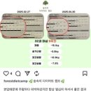 숲다 이미지