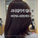 사평대로26길 9-5 | 반포미용실 토니앤가이 예은 디자이너님께 시세이도 모발클리닉 받았어요!