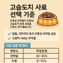 🌟지금 꼭 알아야 할! 고슴도치 사료 추천 리스트 🦔 의외의 영양소 비밀까지 완벽 분석 가이드🌟