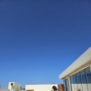 바불 제주 풀빌라 | 🌴커플 제주 여행 :: 제주풀빌라 바불 제주 풀빌라 힐링 제대로 한 후기 ✨🌴