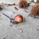 영주농장 이미지