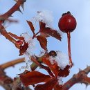 침곡리 입구 이미지