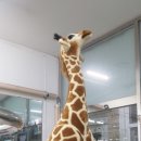 기린 세탁소 이미지