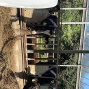 연서목장 이미지