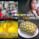 파인애플 이미지