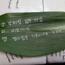 꽃이야나무야아산대전