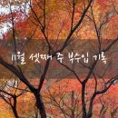 신영 인사이트 | 11월 셋째 주 부수입 기록 (feat. 공모주 매도 후기)