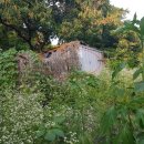 효촌2리 마을회관 이미지