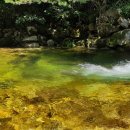 가메골힐링하우스 이미지