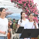 하은바이올린첼로학원 이미지