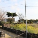 소도락하우스 이미지