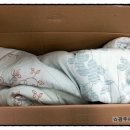 진월24동물병원 이미지