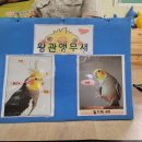 왕관앵무새🦜와 저빌🐁을 만났어요 이미지