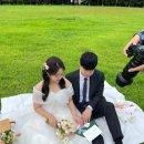 웨딩｜알레그라피 헤어변형 &lt;달빛드살롱&gt; 추천 (내돈내산 솔직 후기 / 야외 웨딩 스냅 헬퍼 동행)