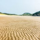 돈목